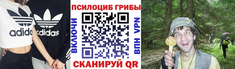 сайты даркнета Telegram  Сосновоборск  Псилоцибиновые грибы Cubensis 