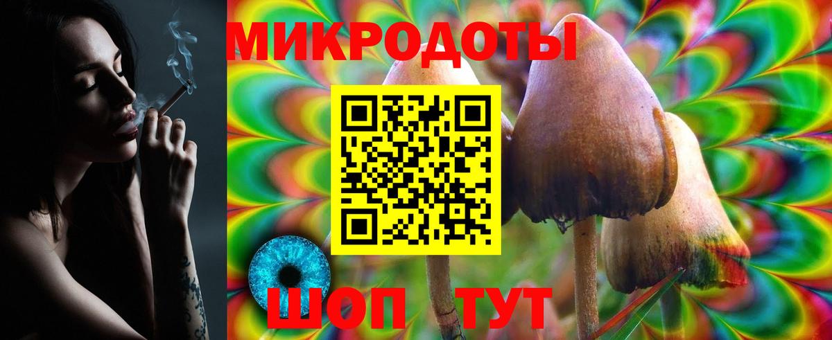 Псилоцибиновые грибы Cubensis  Галлюциногенные грибы GOLDEN TEACHER  наркота  Сосновоборск  Вход с VPN 