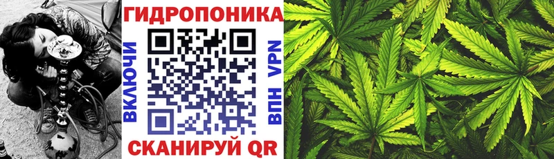 Шишки марихуана Ganja Сосновоборск